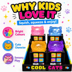 Cool Cat Squishy Toy In Box Kids Fidget Sensory Stress Relief Gift 3+ Age New